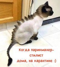 Сверхсветовая реакция соцсетей на целый месяц выходных