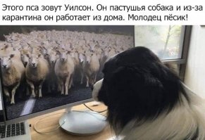 "Продлить режим нерабочих дней": главное из нового обращения Путина к нации
