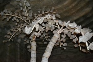 Здорово там!Много раз туда спускался.И соль вкусная)