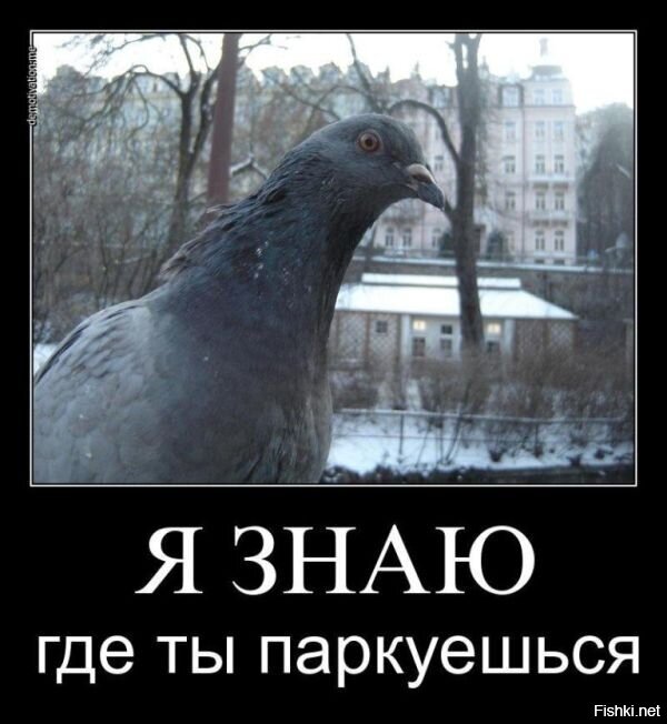 Весёлые картинки