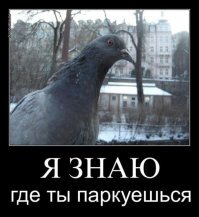 Весёлые картинки