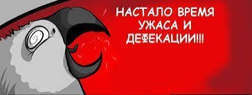 Мне эта больше нравится)