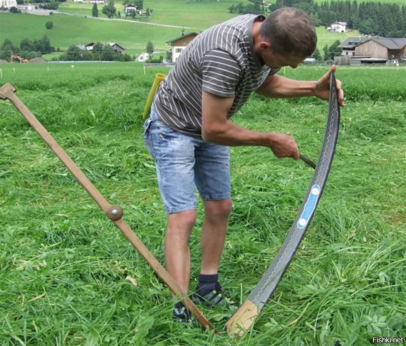 Это шпротины, а это красивая литовка)