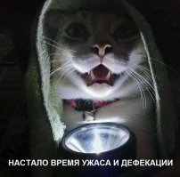 Все, кто не "болеет" коронтинам - идите всадницу