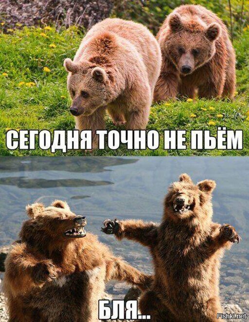 Бля... Это про меня с другом Вовой...