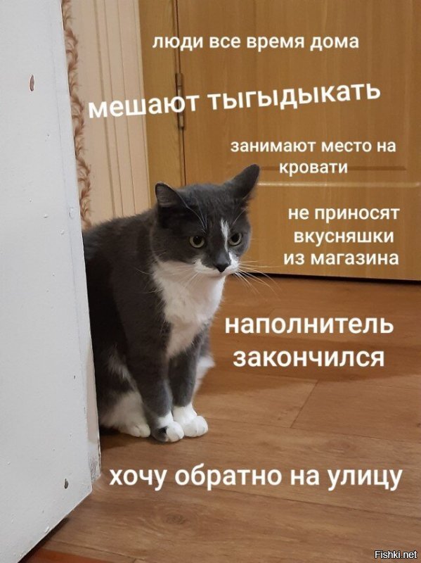 Прикольные и смешные картинки