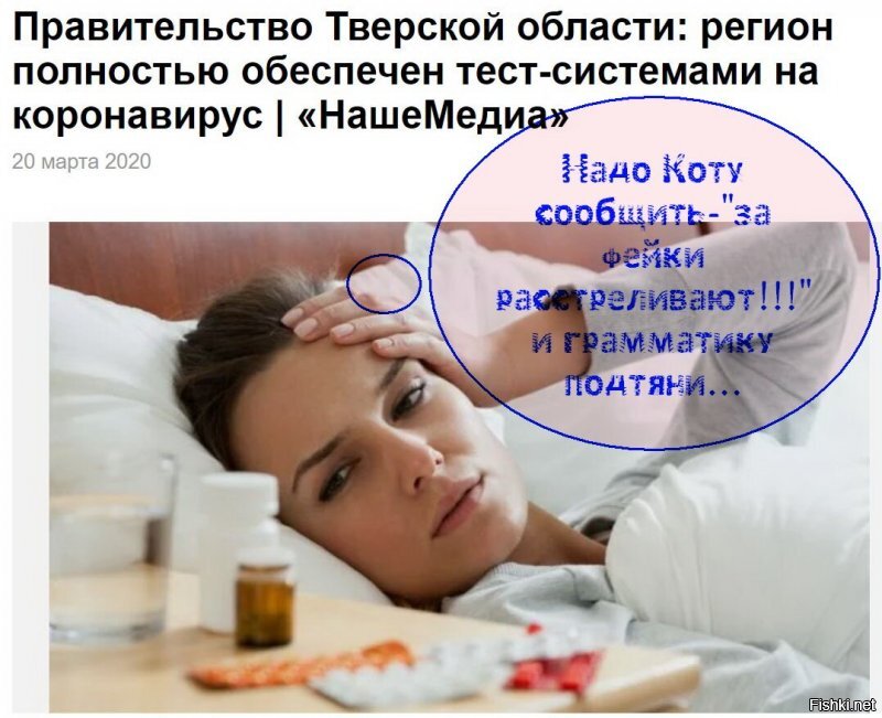 Человеку свойственно бояться вообще, а в свете последних событий -тест для кота...