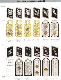 Новые знаки различия для карантинных патрулей