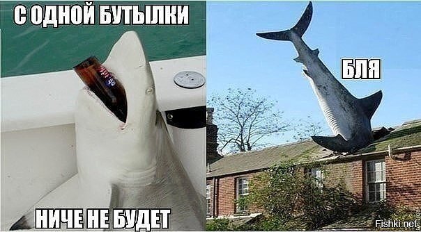 Алкопост на вечер этой пятницы