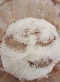 Смешные картинки