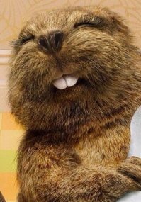 Картинки с надписями про "это"  