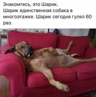 Смешные картинки