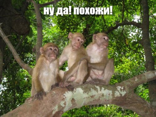 Старые песни о главном *21*