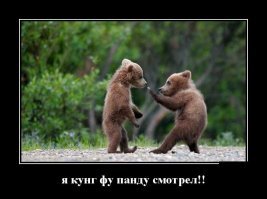 Медвежата учатся ловить рыбу на Курильском озере