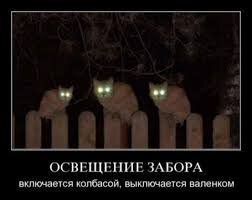 Веселые картинки
