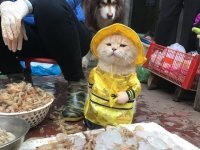 Что брать будете???