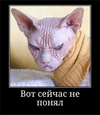 Прикольные и смешные картинки