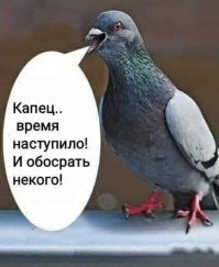 Веселые картинки