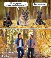 Веселые картинки