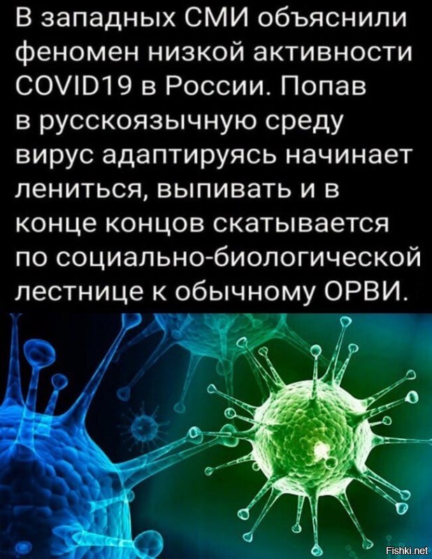 Русофобные страны меняют отношение к русскоязычному населению в связи с коронавирусом