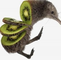 12 самых диких фактов о птицах