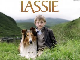 Не только все помнят.