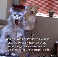 Прикольные и смешные картинки