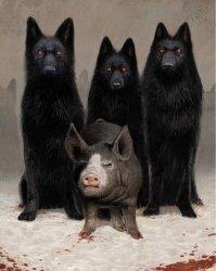 Милые фотографии очаровательного поросенка в поле ярких цветов