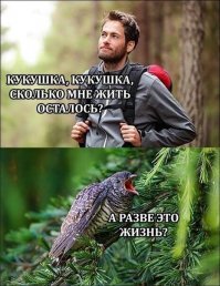 Демотиваторы на злобу дня - жизненная подборка