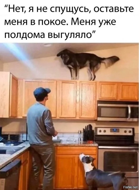 Демотиваторы на злобу дня