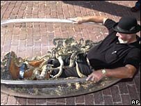 Прикольные и смешные картинки