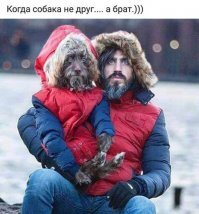 Эдна - собака-обнимака