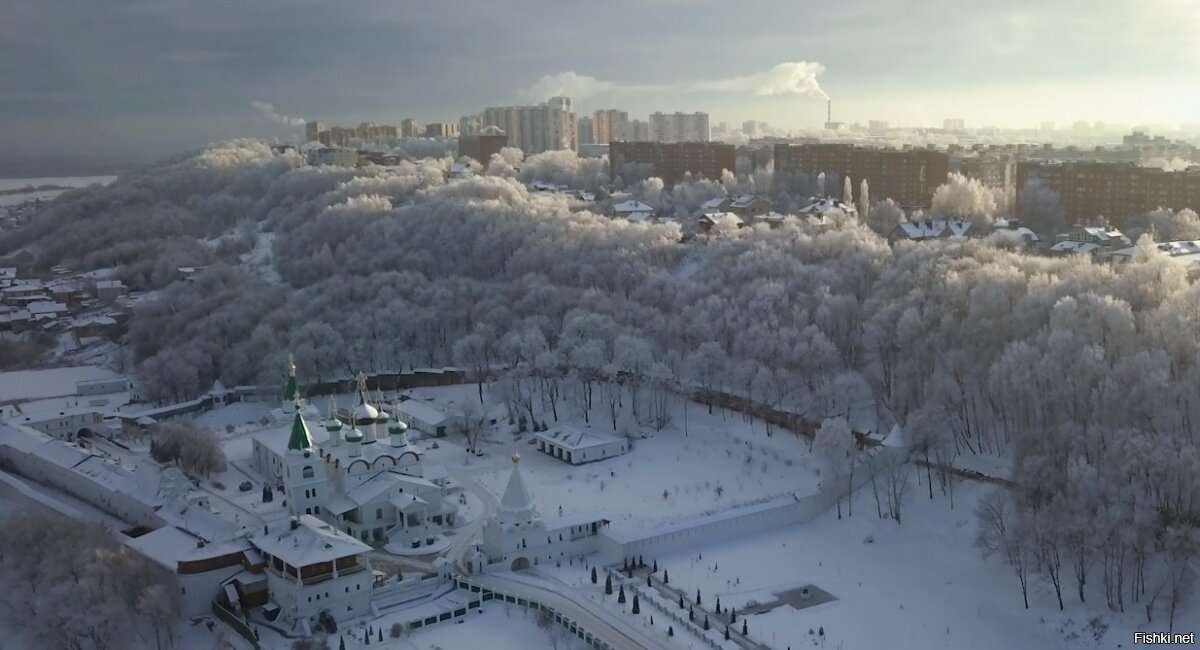 Горы зимний лес с высоты птичьего полета