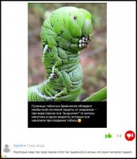 Прикольные и смешные картинки