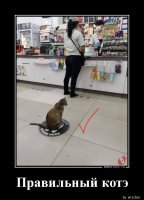 Я их начинаю бояться, уж очень быстро они стали эволюционировать...