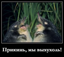 Демотиваторы на злобу дня - жизненная подборка
