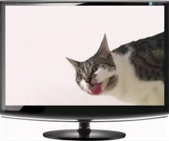 Прикольные и смешные картинки