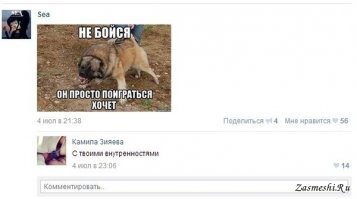 7 лучших собак для охраны дома