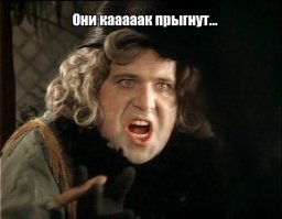 13 любопытных фактов про обезьян