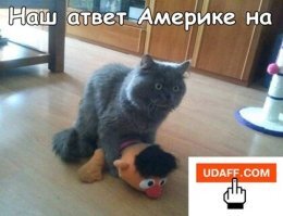 Еще вариант с удава 2014.