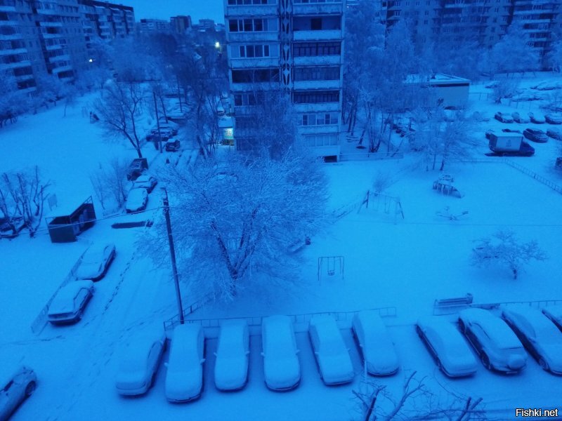 У нас - зима! Сегодня с утра!