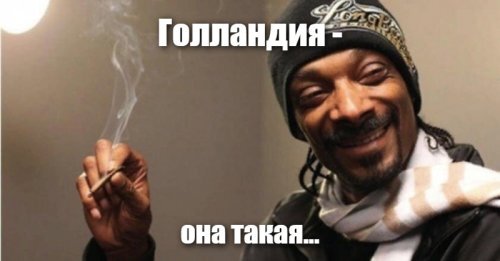 Гифки дня