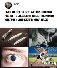 Прикольные и смешные картинки