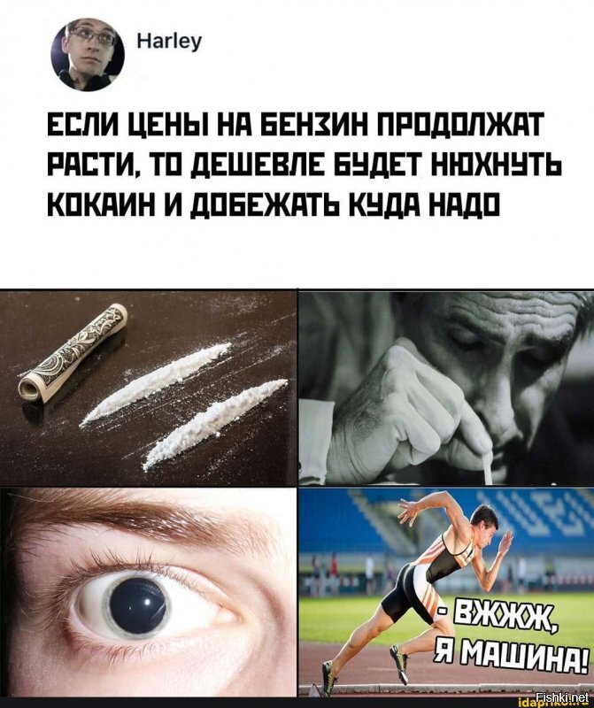 Прикольные и смешные картинки