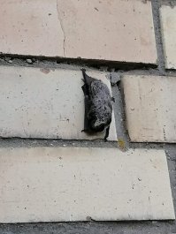 Сегодня за окном