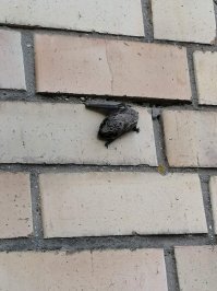 Сегодня за окном