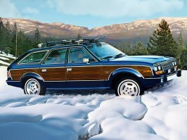 По мне дак AMC Eagle прекрасен.