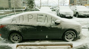 Сильный ветер в Омске снес крыши с домов и вырвал деревья с корнем