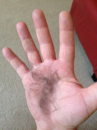 Прикольные и смешные картинки