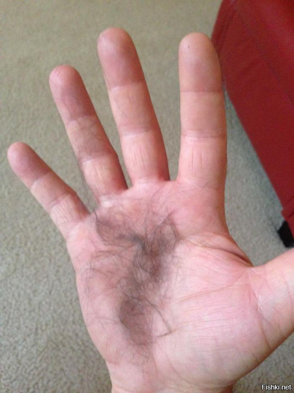 Прикольные и смешные картинки